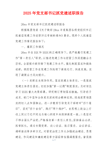 2025年党支部书记抓党建述职报告