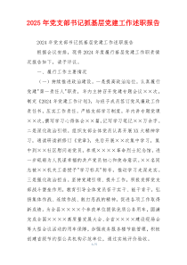 2025年党支部书记抓基层党建工作述职报告