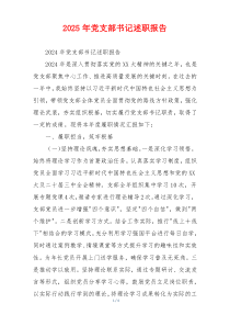 2025年党支部书记述职报告