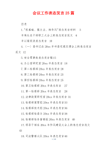 会议工作表态发言25篇
