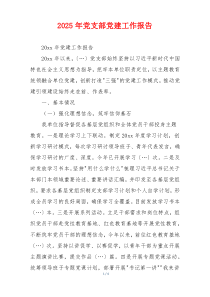 2025年党支部党建工作报告