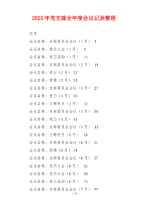 2025年党支部全年度会议记录整理