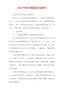 2025年党支部基层总结报告