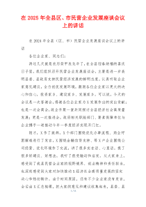 在2025年全县区、市民营企业发展座谈会议上的讲话