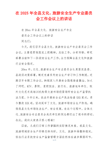 在2025年全县文化、旅游安全生产专业委员会工作会议上的讲话
