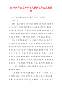 在2025年全县未成年人保护工作会上的讲话