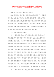 2025年党组书记党建述职工作报告