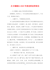 乡乡镇镇长2025年度述职述责报告