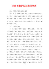 2025年党组书记述法工作报告