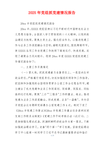 2025年党组抓党建情况报告