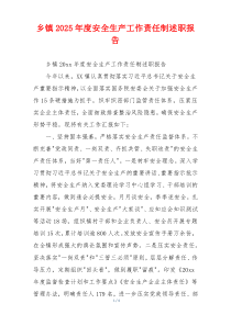 乡镇2025年度安全生产工作责任制述职报告