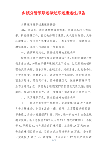 乡镇分管领导述学述职述廉述法报告
