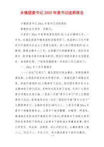 乡镇团委书记2025年度书记述职报告