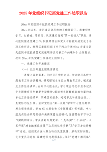 2025年党组织书记抓党建工作述职报告