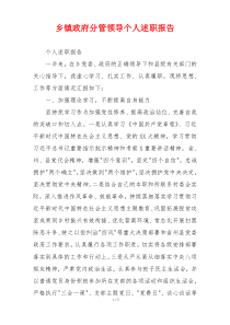 乡镇政府分管领导个人述职报告