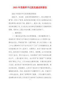 2025年党组织书记抓党建述职报告