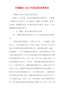 乡镇镇长2025年度述职述责报告