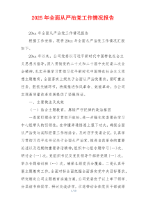 2025年全面从严治党工作情况报告