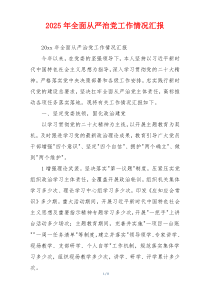 2025年全面从严治党工作情况汇报