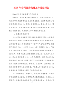 2025年公司党委党建工作总结报告
