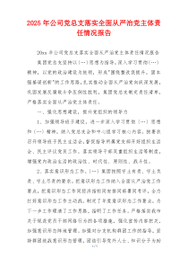 2025年公司党总支落实全面从严治党主体责任情况报告