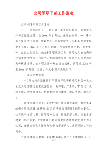 公司领导干部工作鉴定
