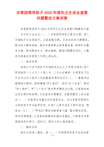 共青团领导班子2025年度民主生活会查摆问题整改方案详情