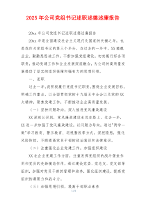 2025年公司党组书记述职述德述廉报告