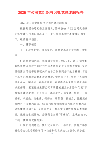 2025年公司党组织书记抓党建述职报告