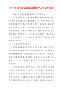 2025年公司基层党建质量跟评工作述职报告