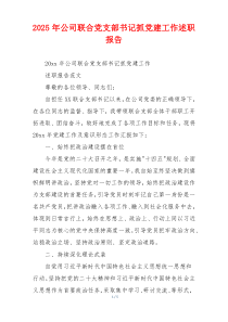 2025年公司联合党支部书记抓党建工作述职报告