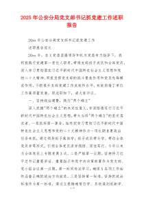 2025年公安分局党支部书记抓党建工作述职报告