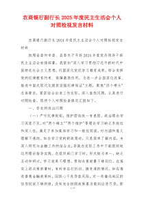 农商银行副行长2025年度民主生活会个人对照检视发言材料