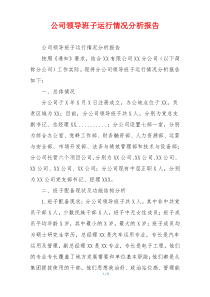 公司领导班子运行情况分析报告