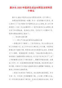副乡长2025年组织生活会对照发言材料四个带头