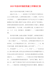 2025年县农村基层党建工作情况汇报