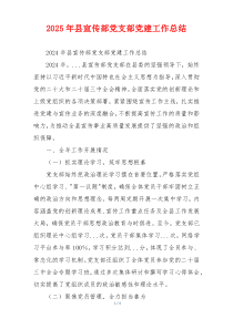 2025年县宣传部党支部党建工作总结