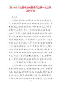 在2025年全面依法治区委员会第一次会议上的讲话