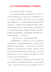 2025年县政府党组党建工作安排意见