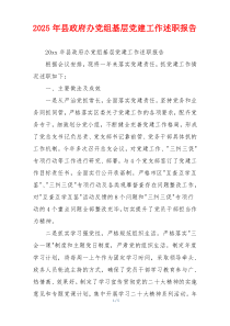 2025年县政府办党组基层党建工作述职报告