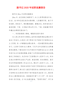 副书记2025年述职述廉报告