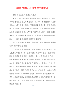 2025年国企公司党建工作要点