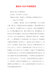 副县长2025年述职报告