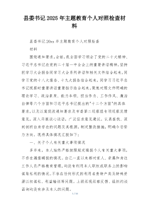 县委书记2025年主题教育个人对照检查材料