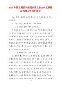 2025年国土资源和规划分局党总支书记抓基层党建工作述职报告