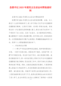 县委书记2025年度民主生活会对照检查材料