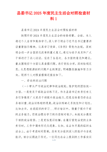 县委书记2025年度民主生活会对照检查材料1
