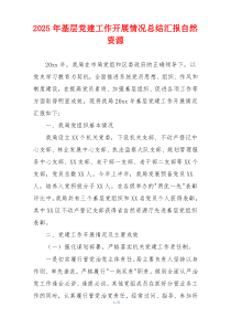 2025年基层党建工作开展情况总结汇报自然资源