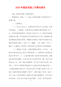 2025年基层党建工作情况报告