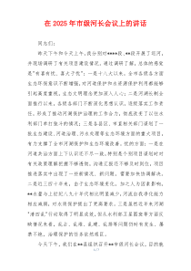 在2025年市级河长会议上的讲话